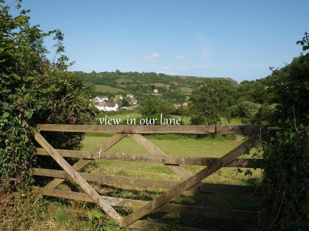 Stunning Countryside Views & Private Balcony! Cozy Room, 3 Miles To Lyme Regis - Free Parking & Wifi Axminster Exterior foto