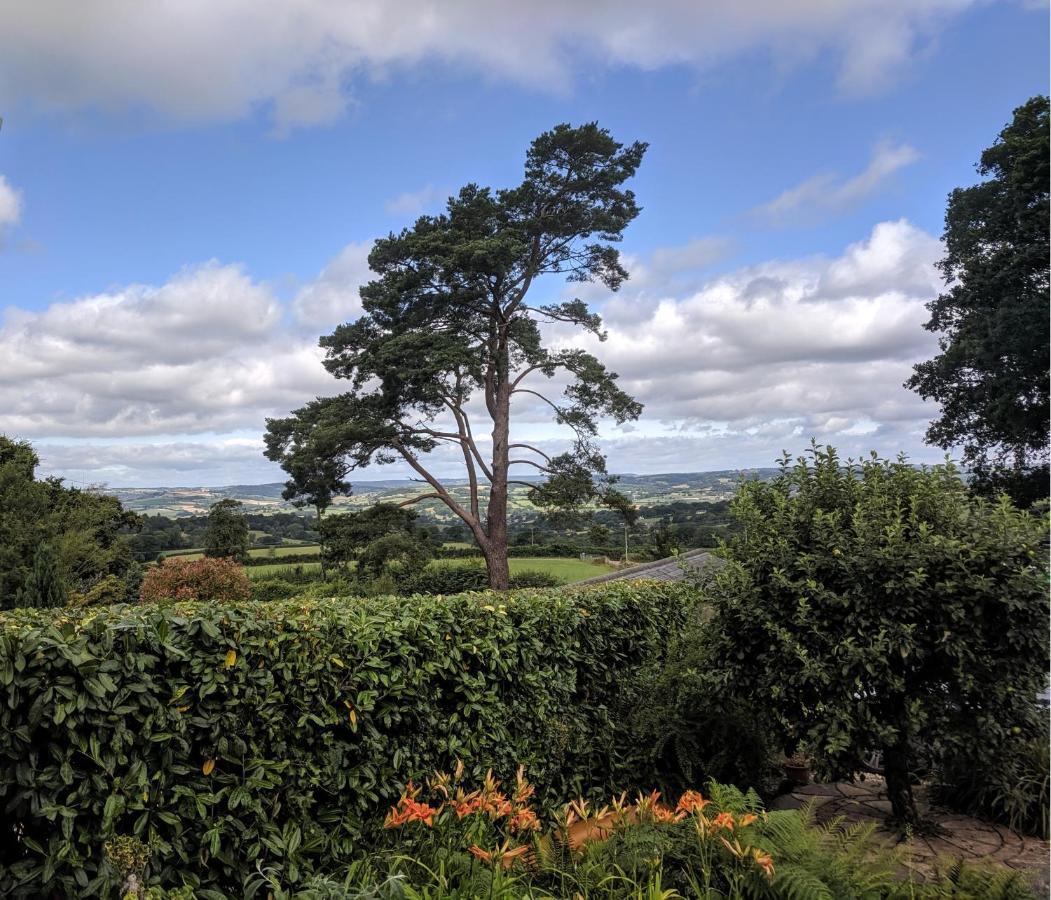 Stunning Countryside Views & Private Balcony! Cozy Room, 3 Miles To Lyme Regis - Free Parking & Wifi Axminster Exterior foto